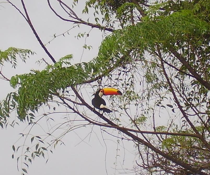 Pousada Paredão da Canastra, foto 6