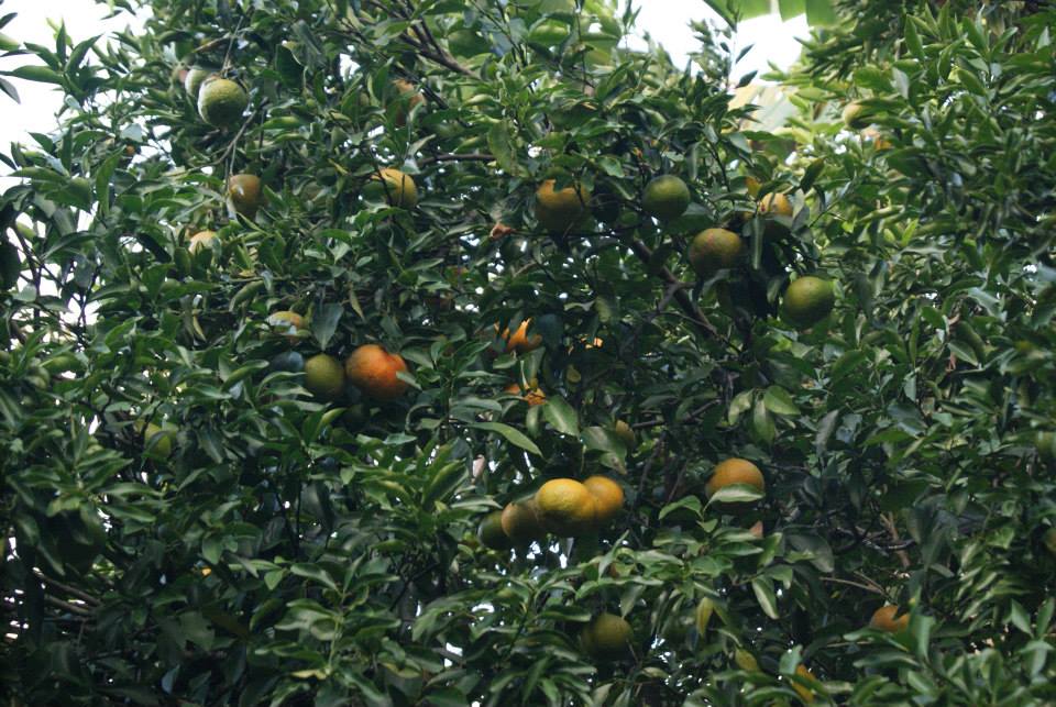 Pousada Paredão da Canastra, foto 11