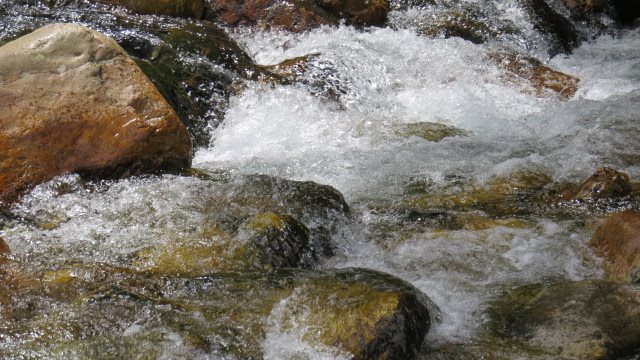 Pousada Paredão da Canastra, foto 22