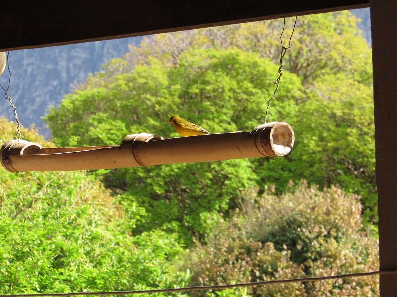 Pousada Paredão da Canastra, foto 29